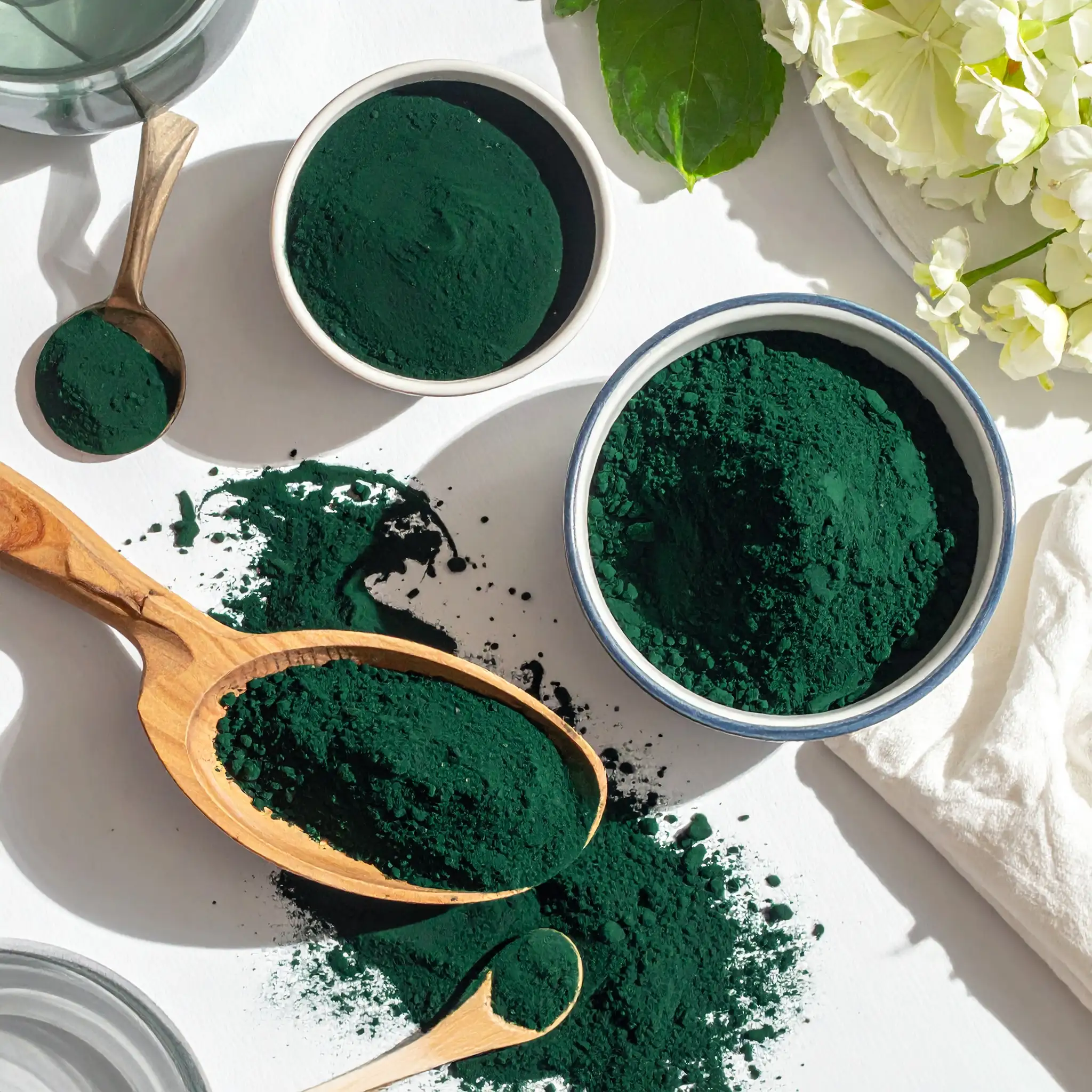 Spirulina Alge