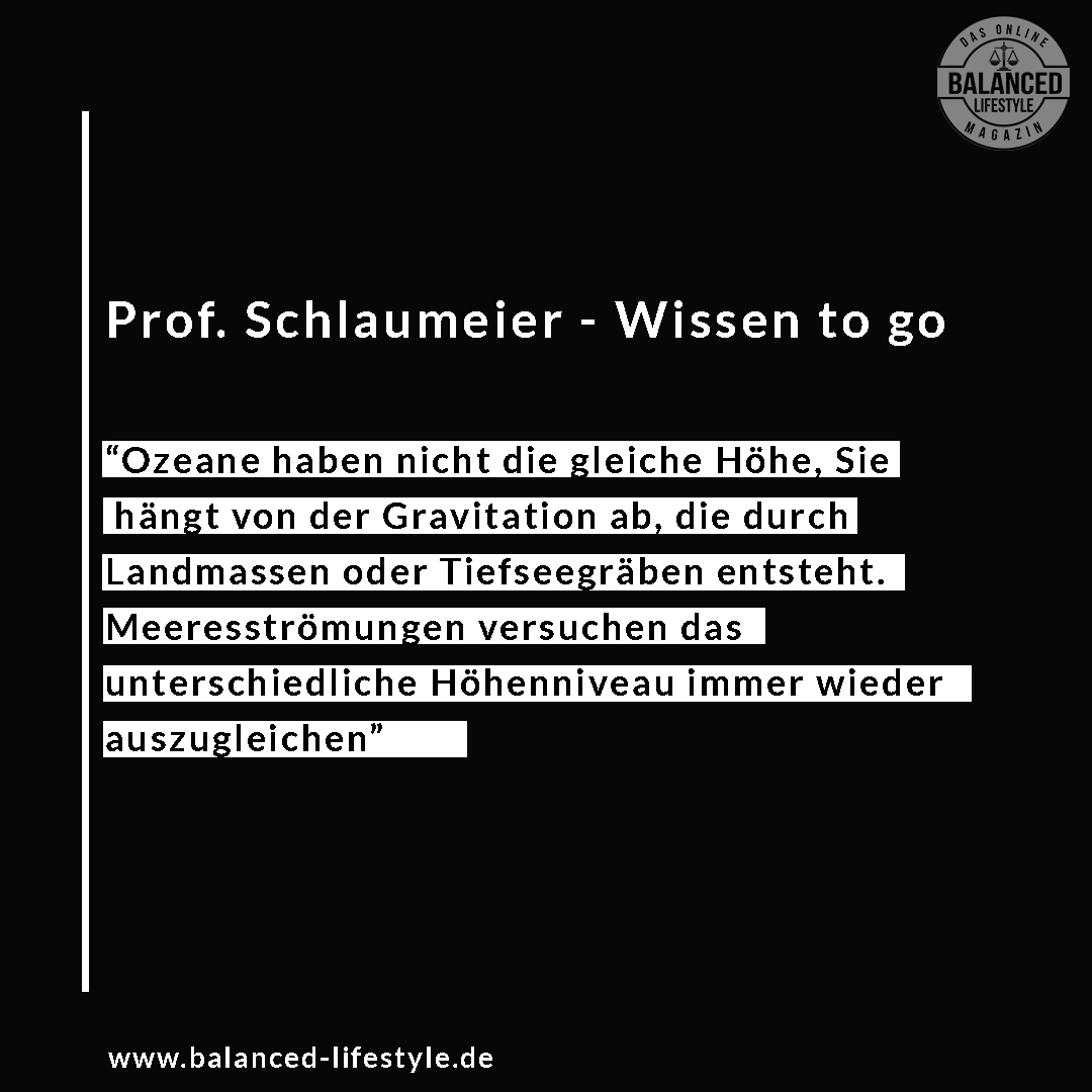 Prof. Schlaumeier - ozeane